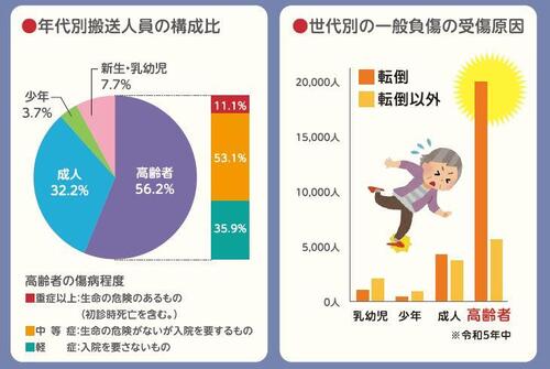 Gráfico de la persona mayor