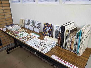 La demostración del libro en la biblioteca del sur referida