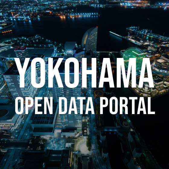 Yokohama portal de datos inicial