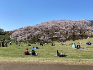 Parque Negishi Forest