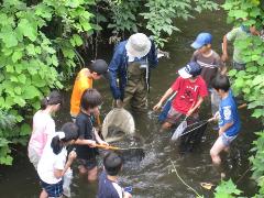 15.¡Quiero cooperar con una actividad para la conservación ambiental!