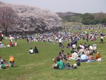 La fotografía del parque donde hay varia reconstrucción