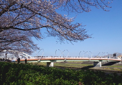 Fotografía de Kamoike Bridge (puente de la humanidad del dintel)