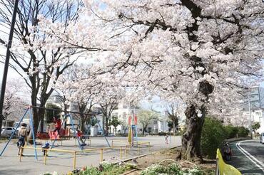 Parque Kubocho