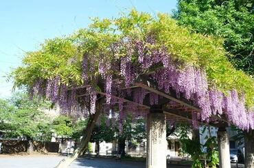 Parque Hamamatsucho