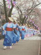 Bailo el baile de inspección de la flor de cereza y el desfile