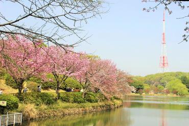 Fotografía de parque prefectural Mitsuike